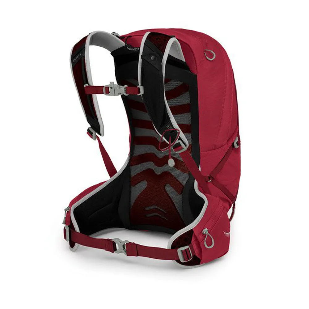 Osprey Talon 22